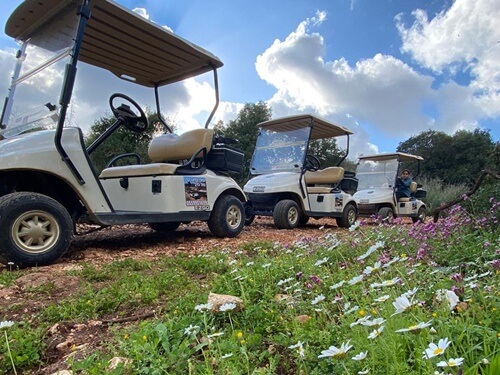 טיולי קלאב קאר נחל כזיב